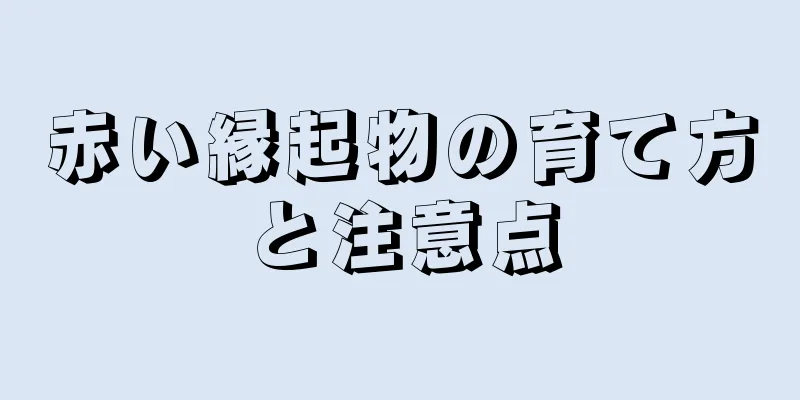 赤い縁起物の育て方と注意点