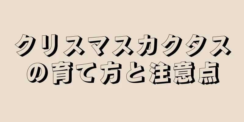 クリスマスカクタスの育て方と注意点