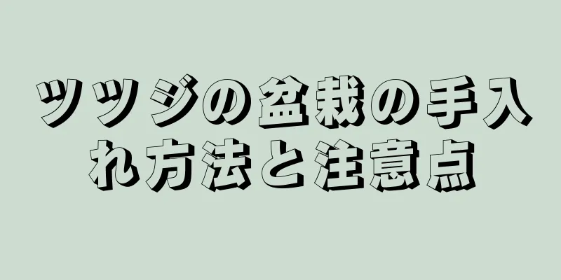 ツツジの盆栽の手入れ方法と注意点