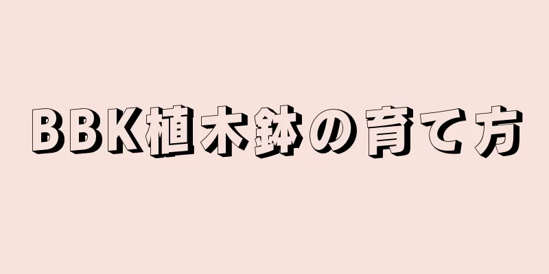 BBK植木鉢の育て方