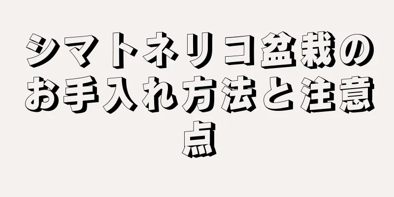 シマトネリコ盆栽のお手入れ方法と注意点