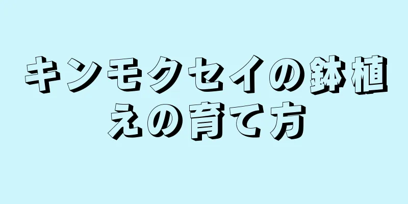 キンモクセイの鉢植えの育て方