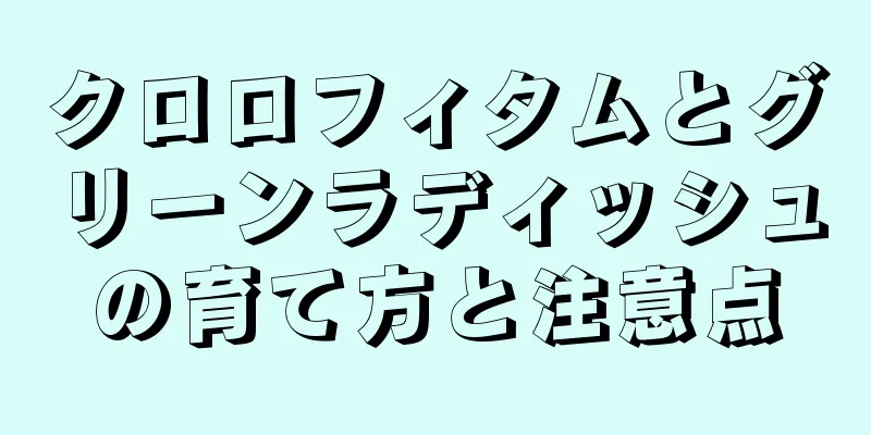 クロロフィタムとグリーンラディッシュの育て方と注意点