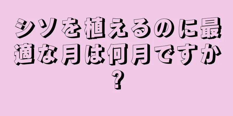 シソを植えるのに最適な月は何月ですか?