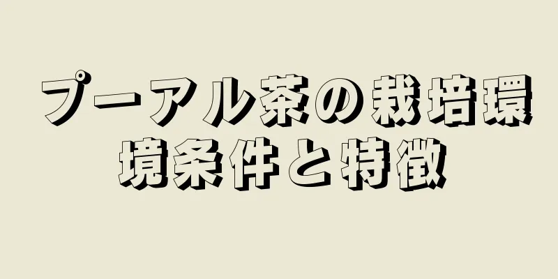 プーアル茶の栽培環境条件と特徴