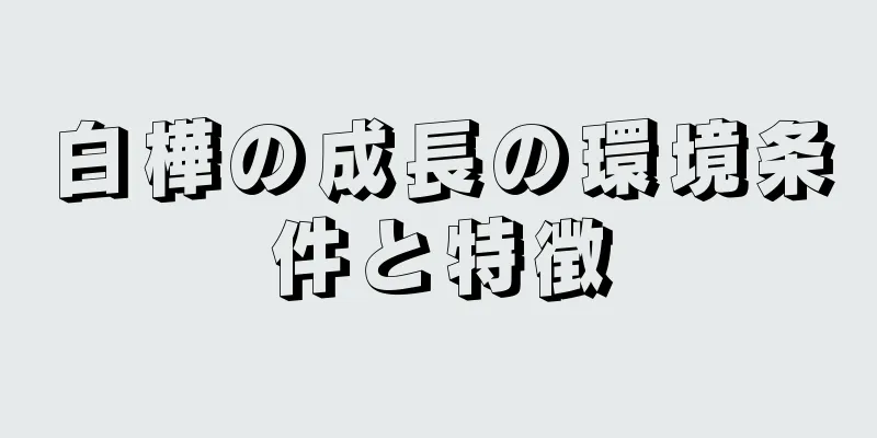 白樺の成長の環境条件と特徴