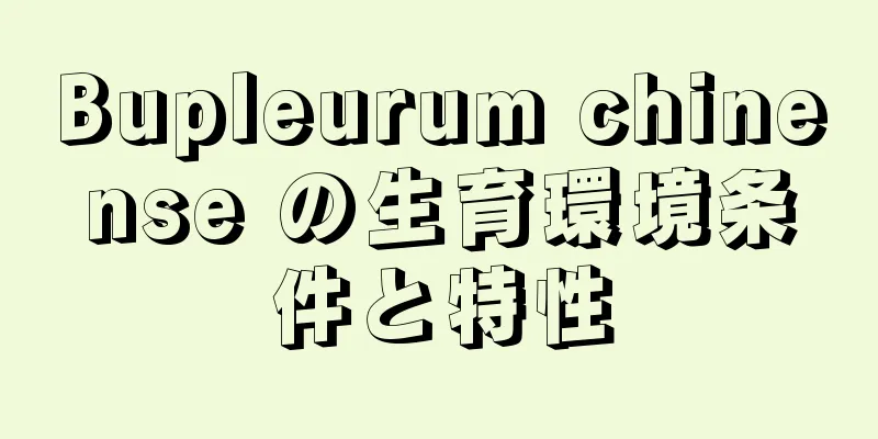 Bupleurum chinense の生育環境条件と特性