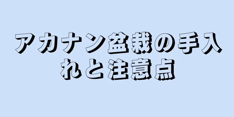アカナン盆栽の手入れと注意点