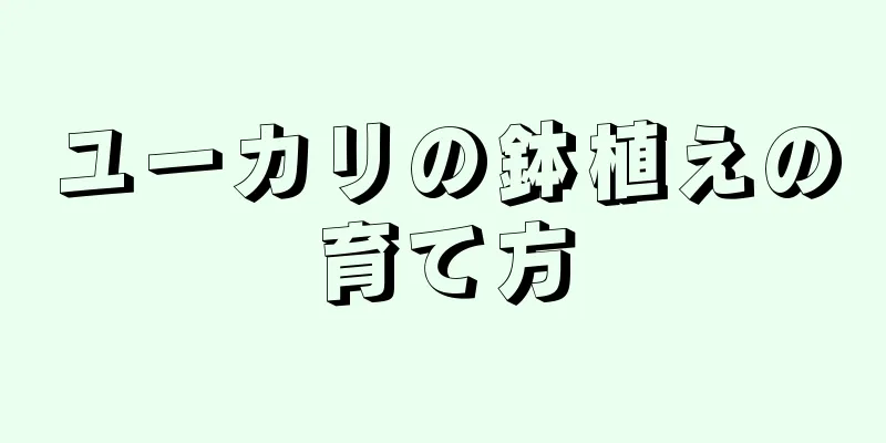 ユーカリの鉢植えの育て方