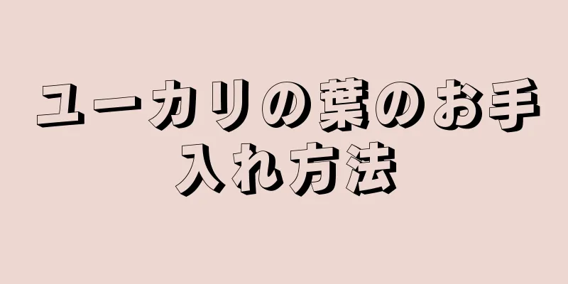 ユーカリの葉のお手入れ方法