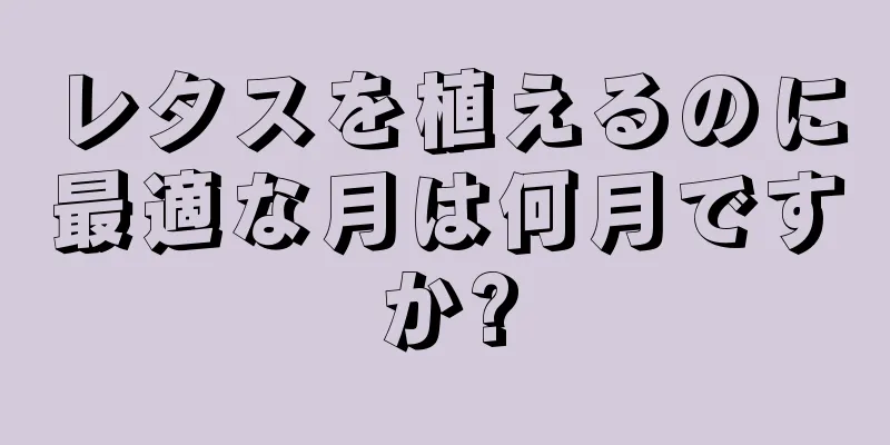 レタスを植えるのに最適な月は何月ですか?