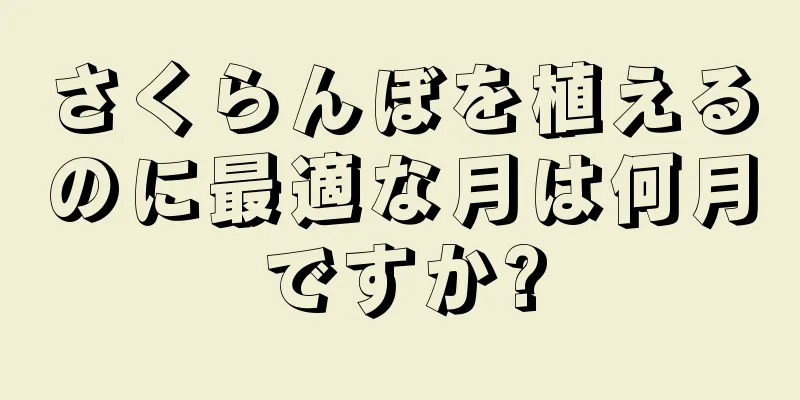 さくらんぼを植えるのに最適な月は何月ですか?