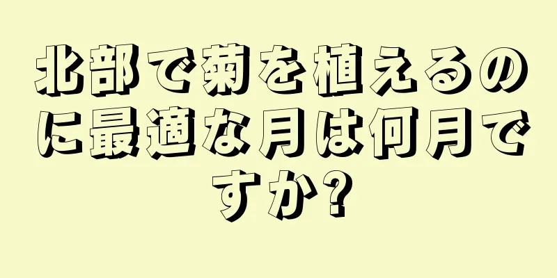 北部で菊を植えるのに最適な月は何月ですか?