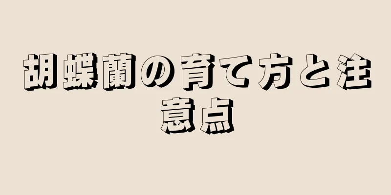 胡蝶蘭の育て方と注意点