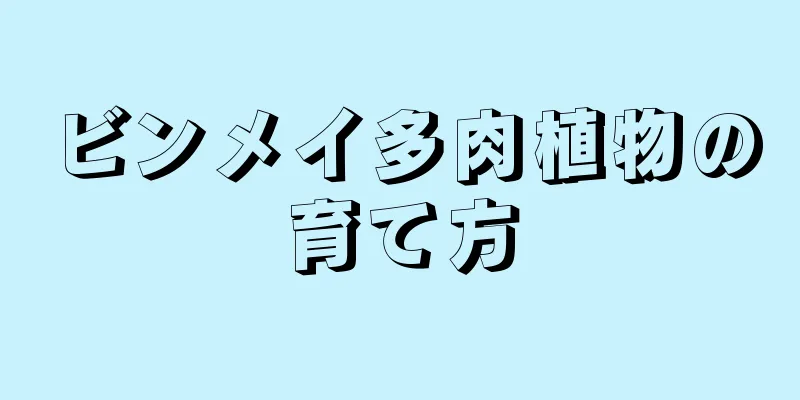 ビンメイ多肉植物の育て方