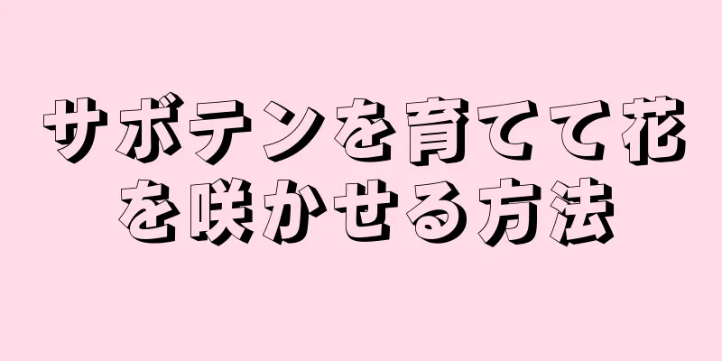 サボテンを育てて花を咲かせる方法