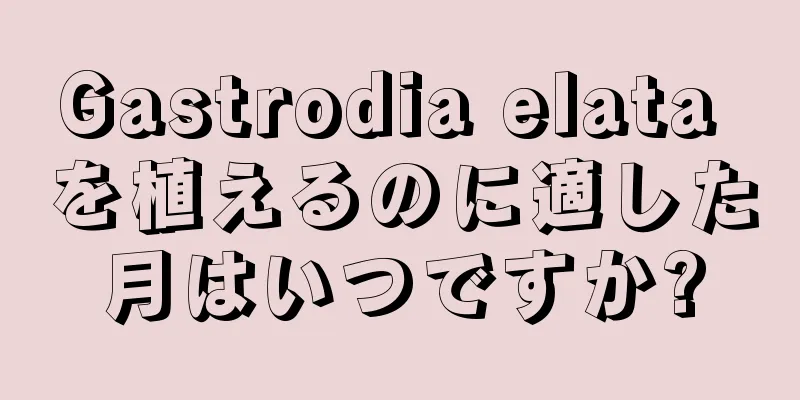 Gastrodia elata を植えるのに適した月はいつですか?
