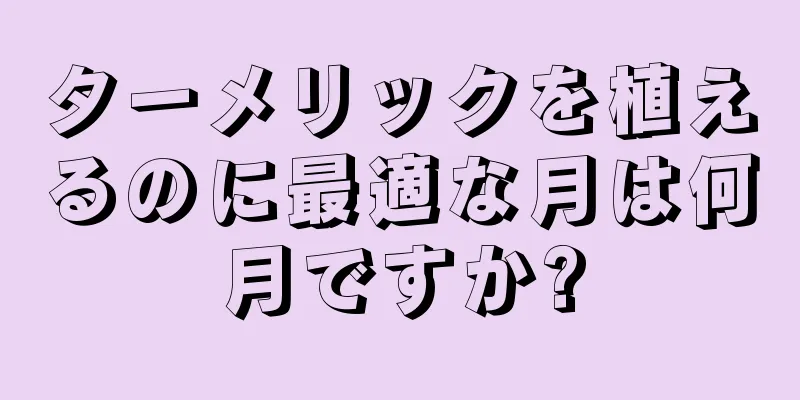 ターメリックを植えるのに最適な月は何月ですか?