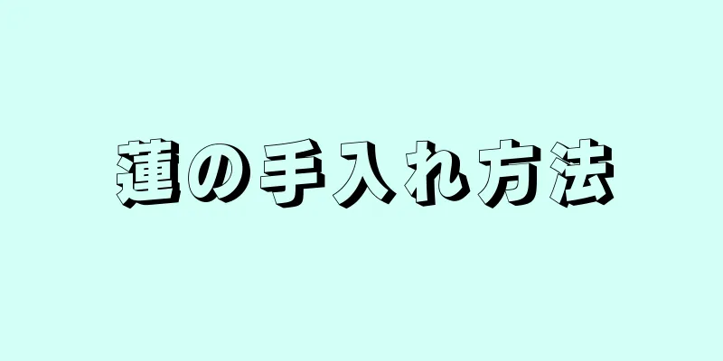 蓮の手入れ方法