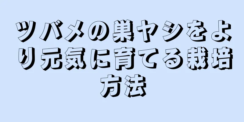 ツバメの巣ヤシをより元気に育てる栽培方法