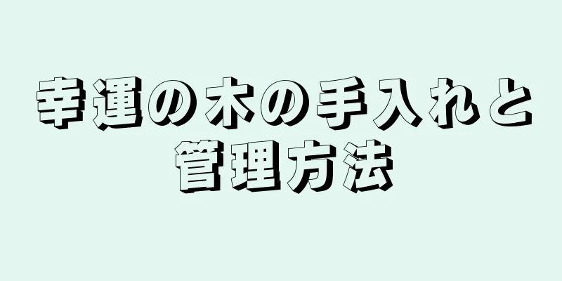 幸運の木の手入れと管理方法