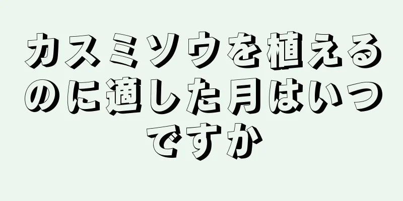 カスミソウを植えるのに適した月はいつですか