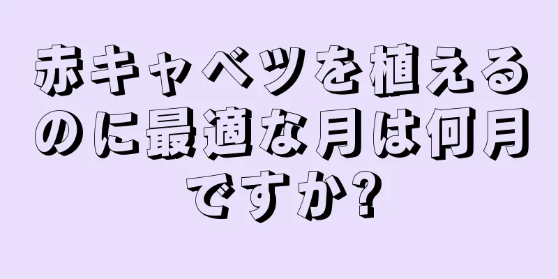 赤キャベツを植えるのに最適な月は何月ですか?