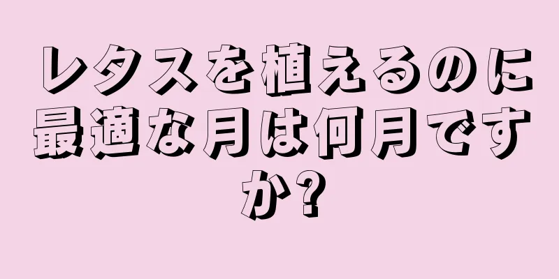 レタスを植えるのに最適な月は何月ですか?