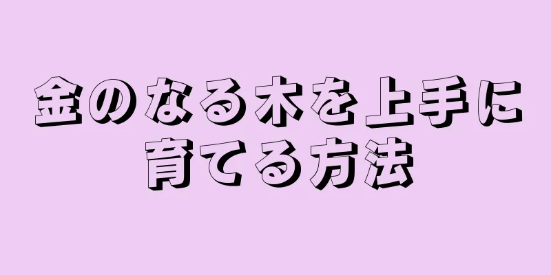 金のなる木を上手に育てる方法