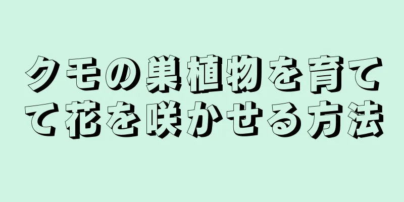 クモの巣植物を育てて花を咲かせる方法