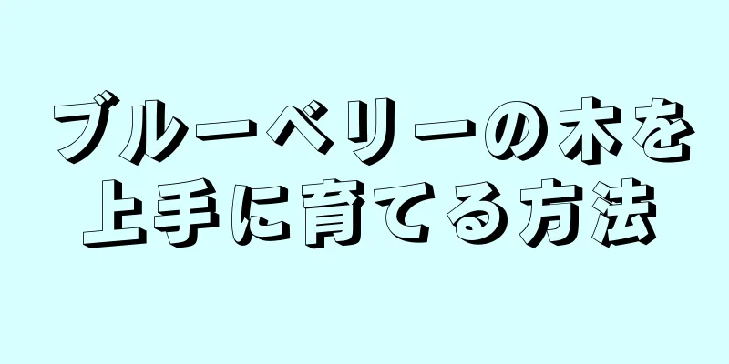 ブルーベリーの木を上手に育てる方法