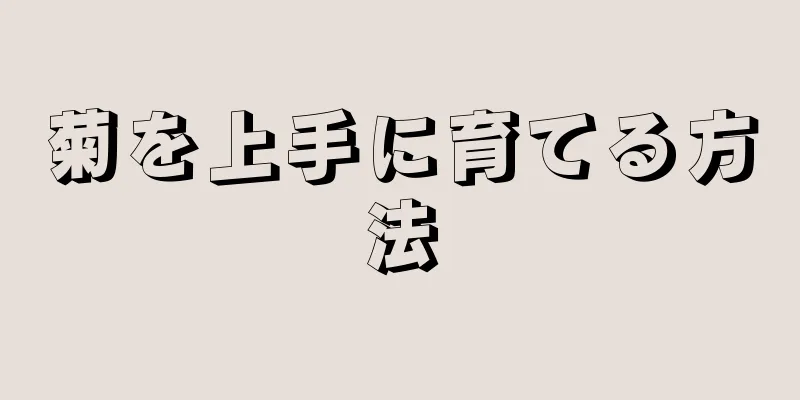 菊を上手に育てる方法