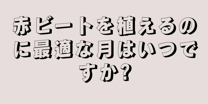 赤ビートを植えるのに最適な月はいつですか?