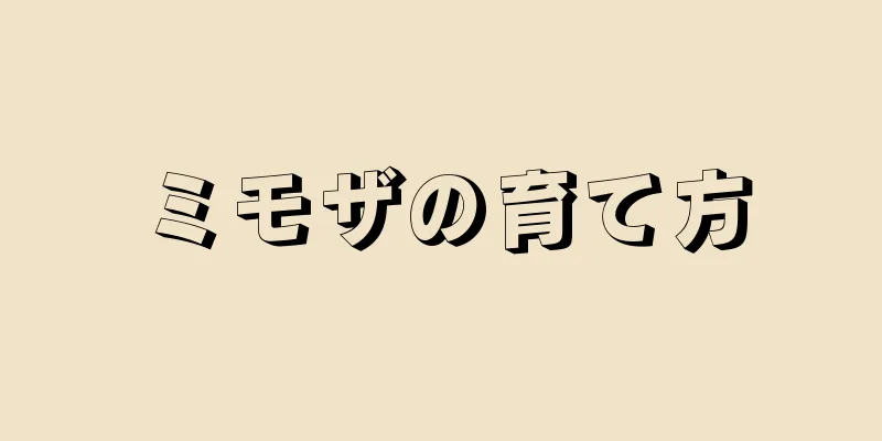 ミモザの育て方