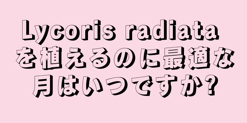 Lycoris radiata を植えるのに最適な月はいつですか?