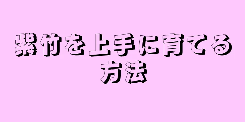 紫竹を上手に育てる方法