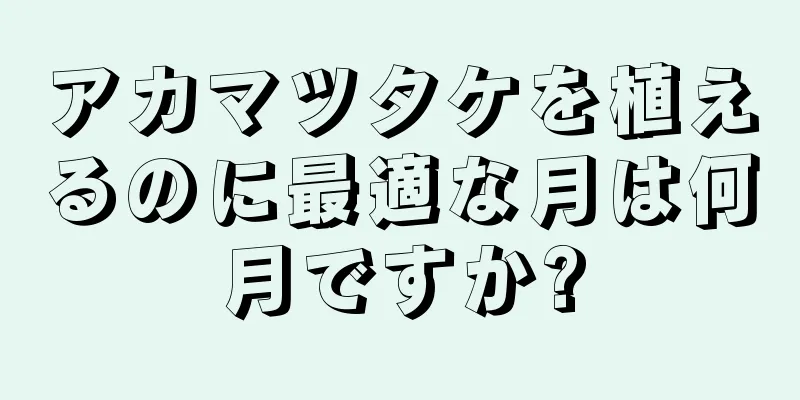 アカマツタケを植えるのに最適な月は何月ですか?