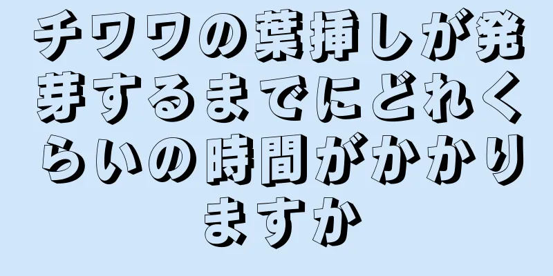 チワワの葉挿しが発芽するまでにどれくらいの時間がかかりますか