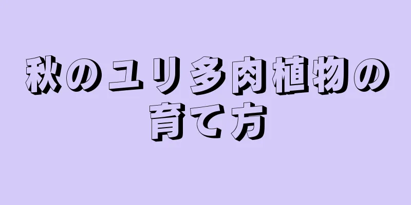 秋のユリ多肉植物の育て方