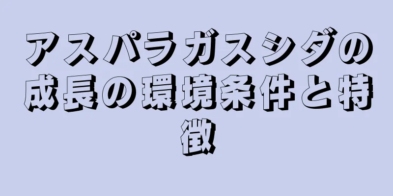 アスパラガスシダの成長の環境条件と特徴
