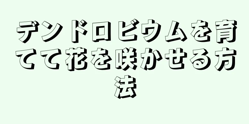 デンドロビウムを育てて花を咲かせる方法