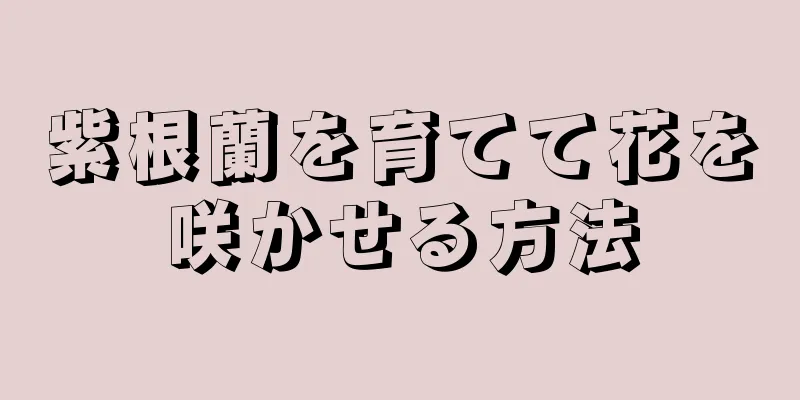 紫根蘭を育てて花を咲かせる方法