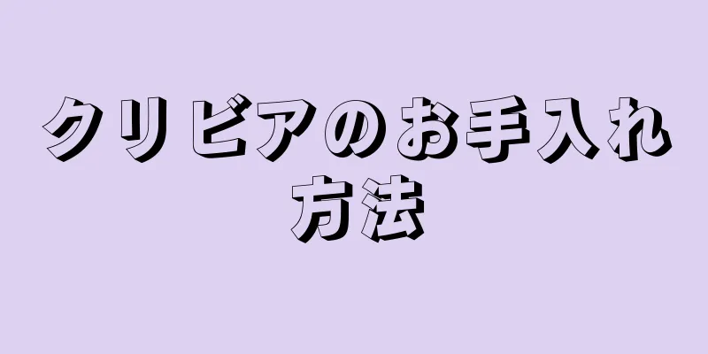 クリビアのお手入れ方法