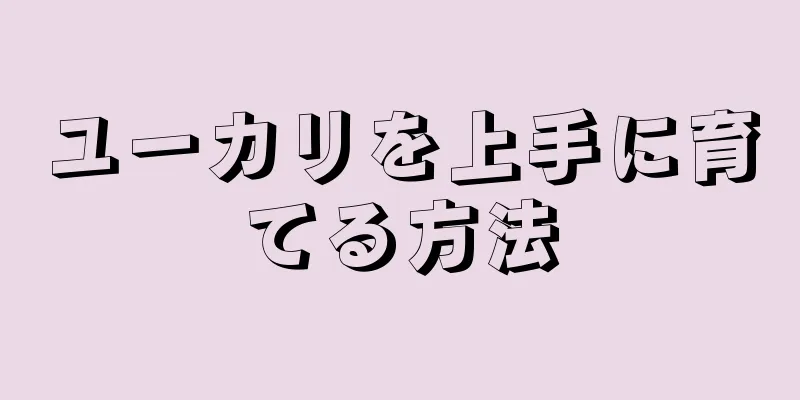ユーカリを上手に育てる方法