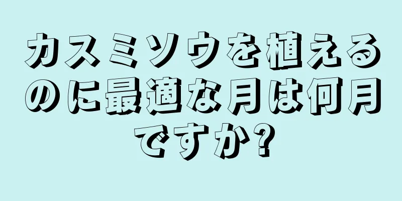 カスミソウを植えるのに最適な月は何月ですか?