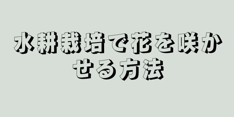 水耕栽培で花を咲かせる方法
