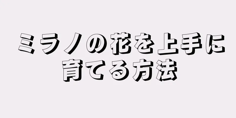 ミラノの花を上手に育てる方法