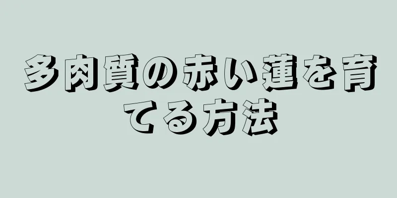 多肉質の赤い蓮を育てる方法