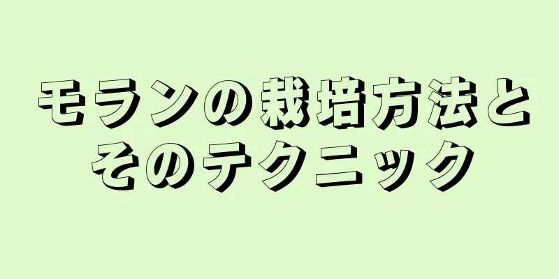 モランの栽培方法とそのテクニック
