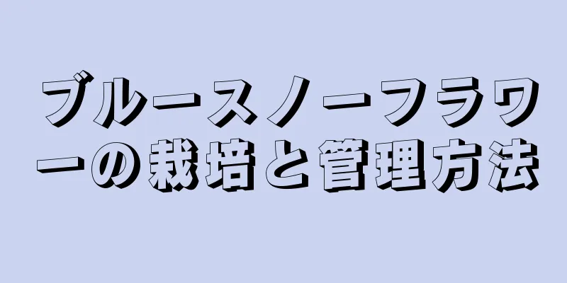 ブルースノーフラワーの栽培と管理方法